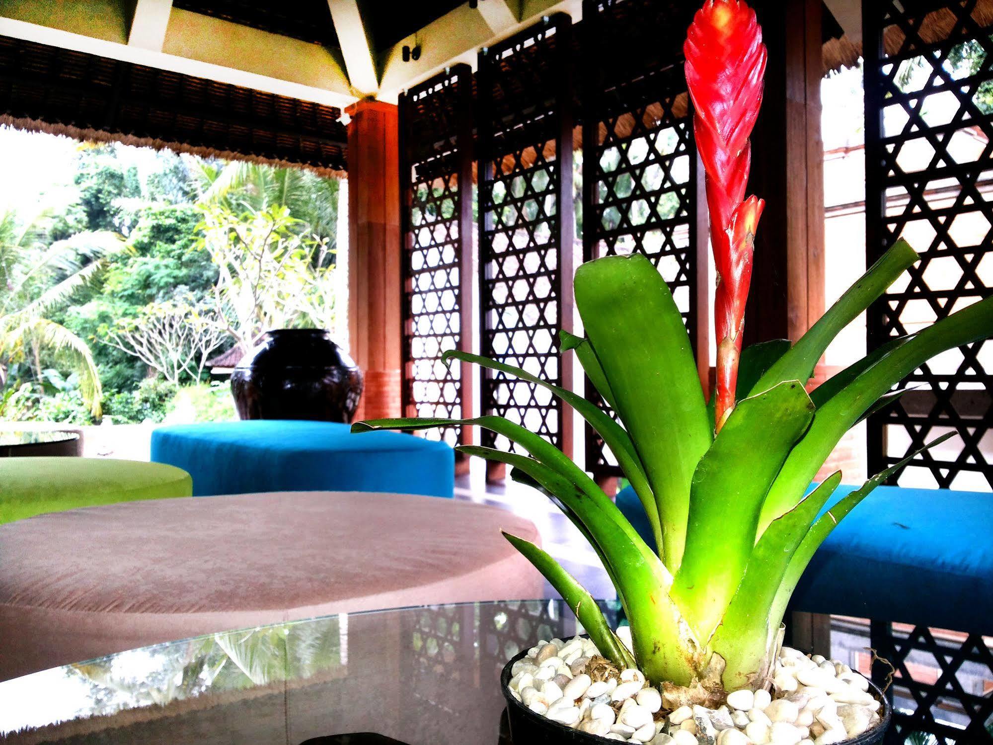 Full Moon Villa Ubud Luaran gambar